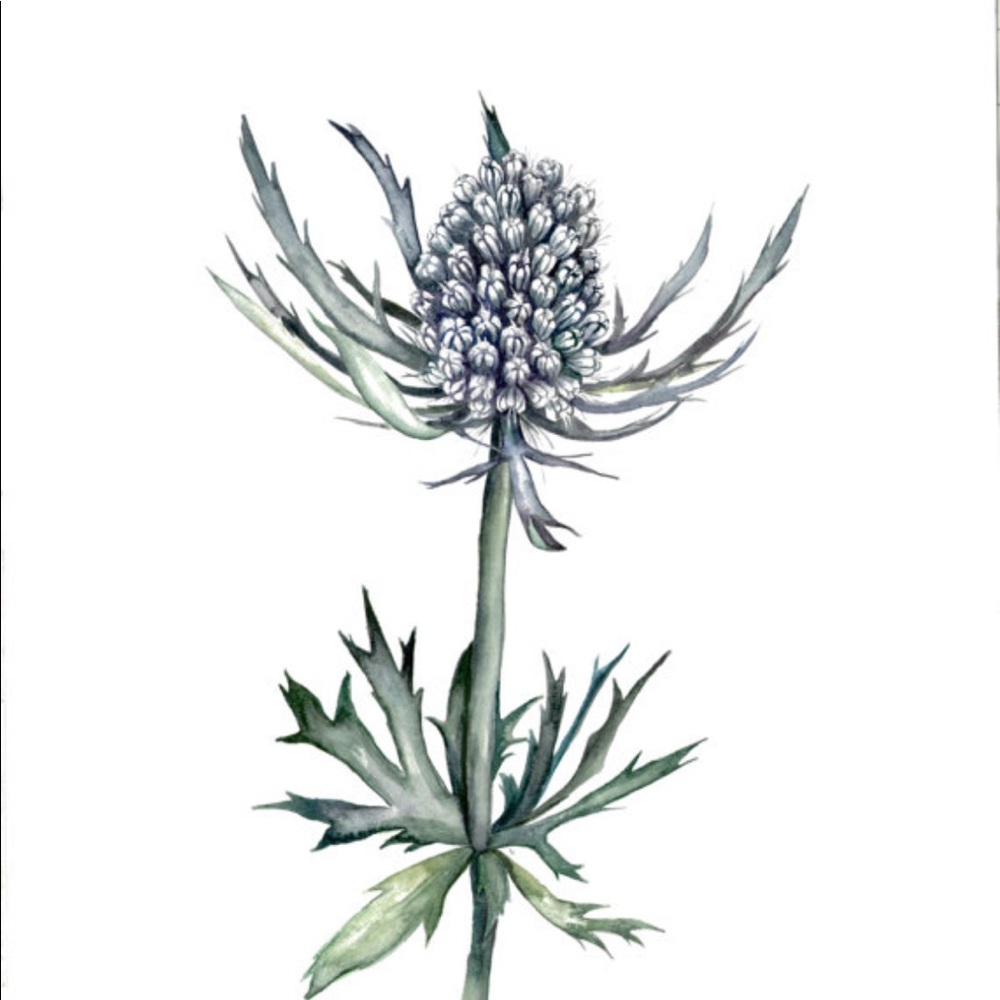 Meet your Posher, Lyndon